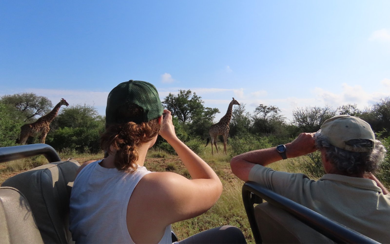 Student taking photo of giraffes