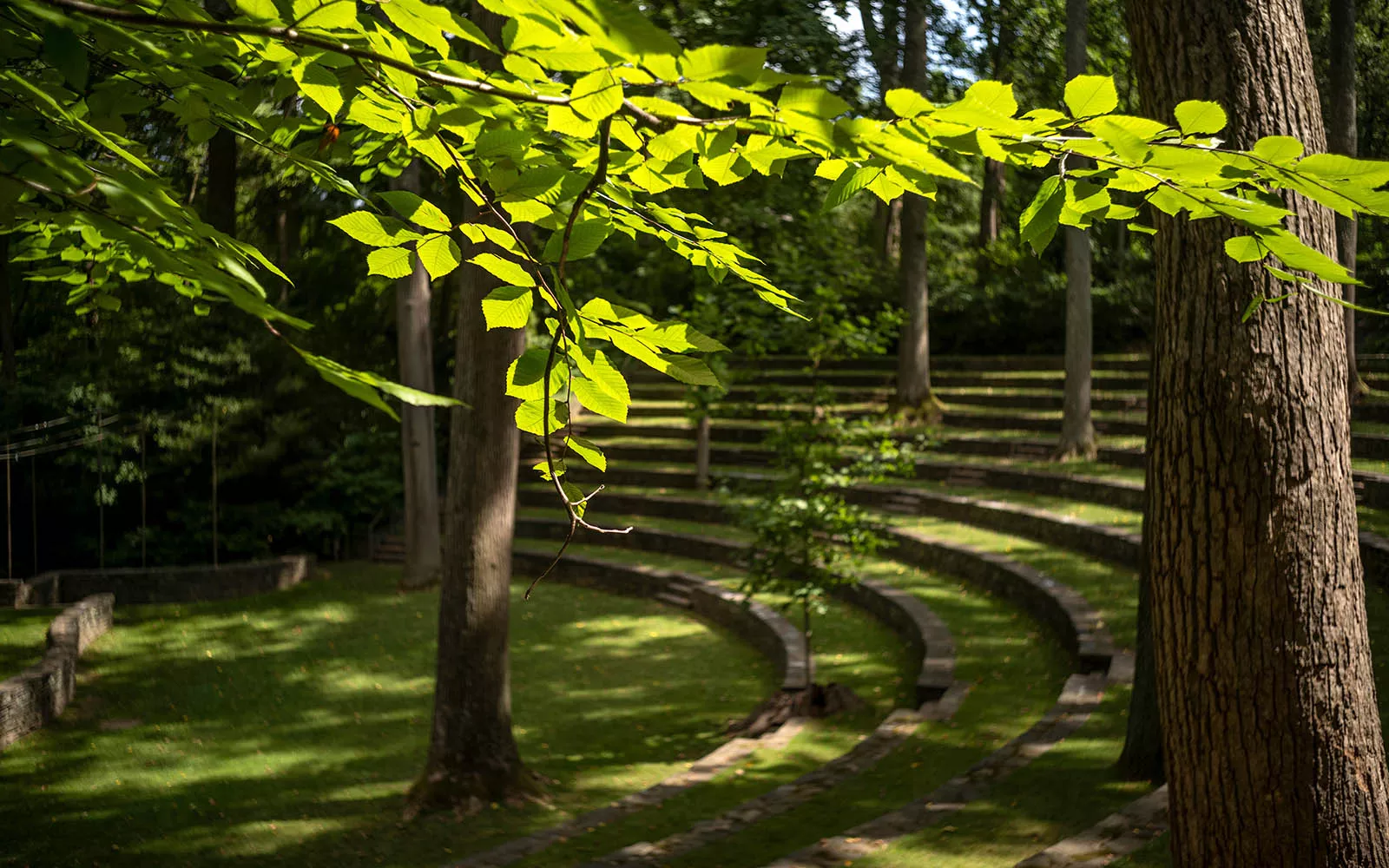 amphitheater in Spring
