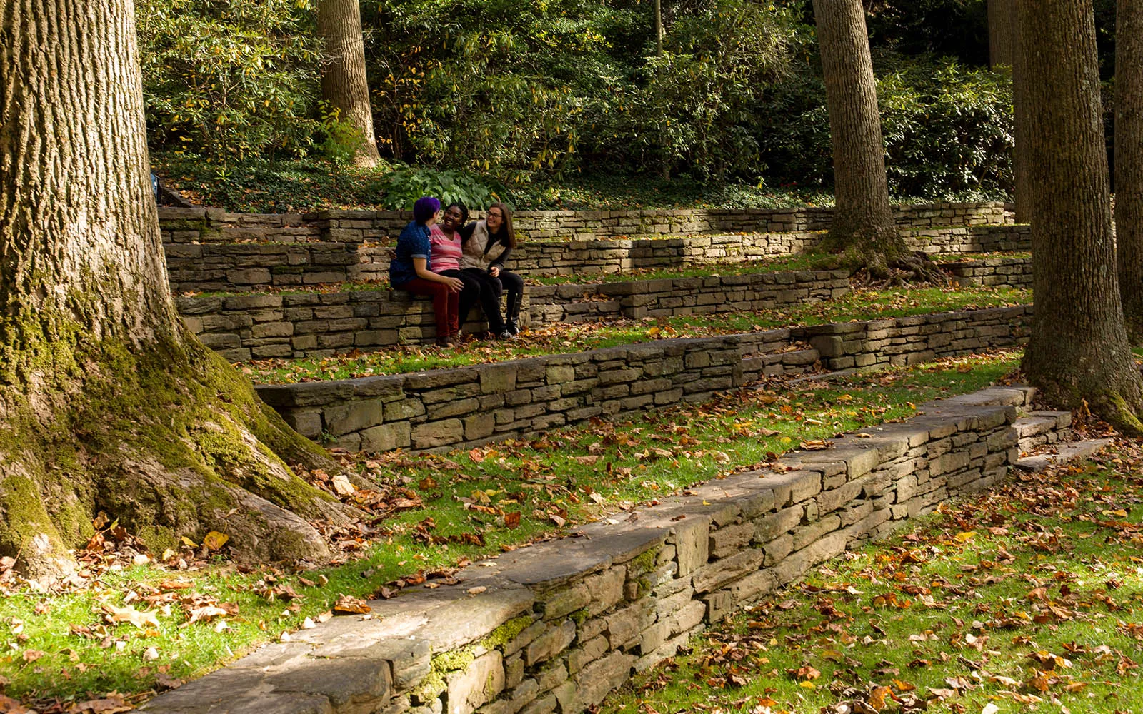 Three students talking in the amphitheater