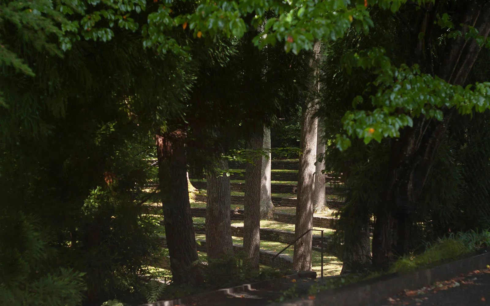 ampitheater