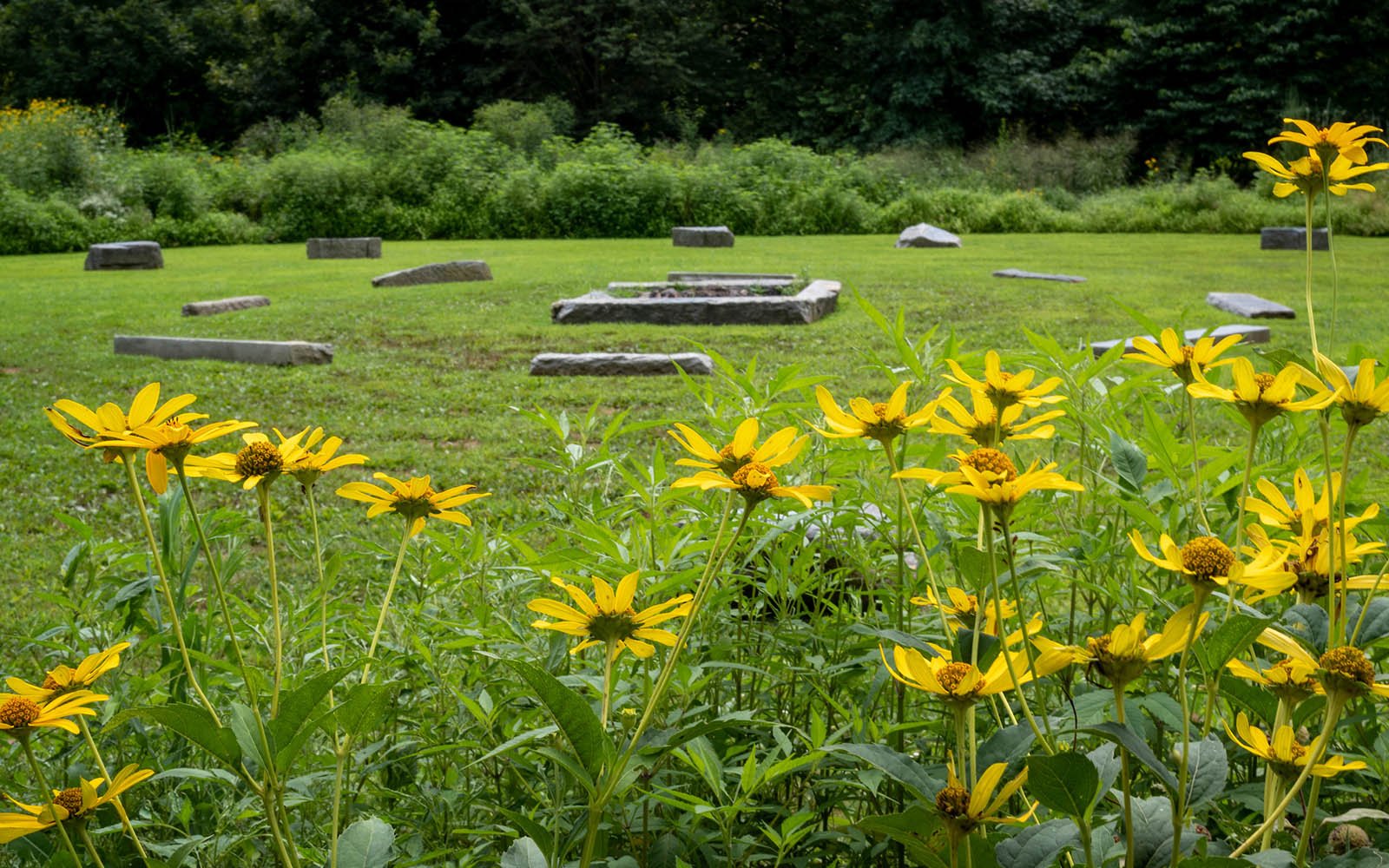 crum henge