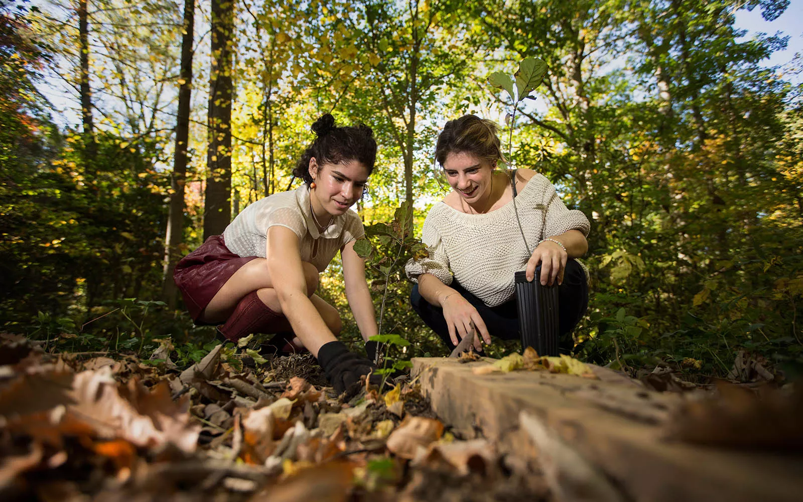 Two students plant trees in Crum Woods