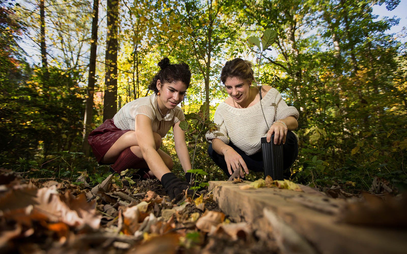 Two students plant trees in Crum Woods