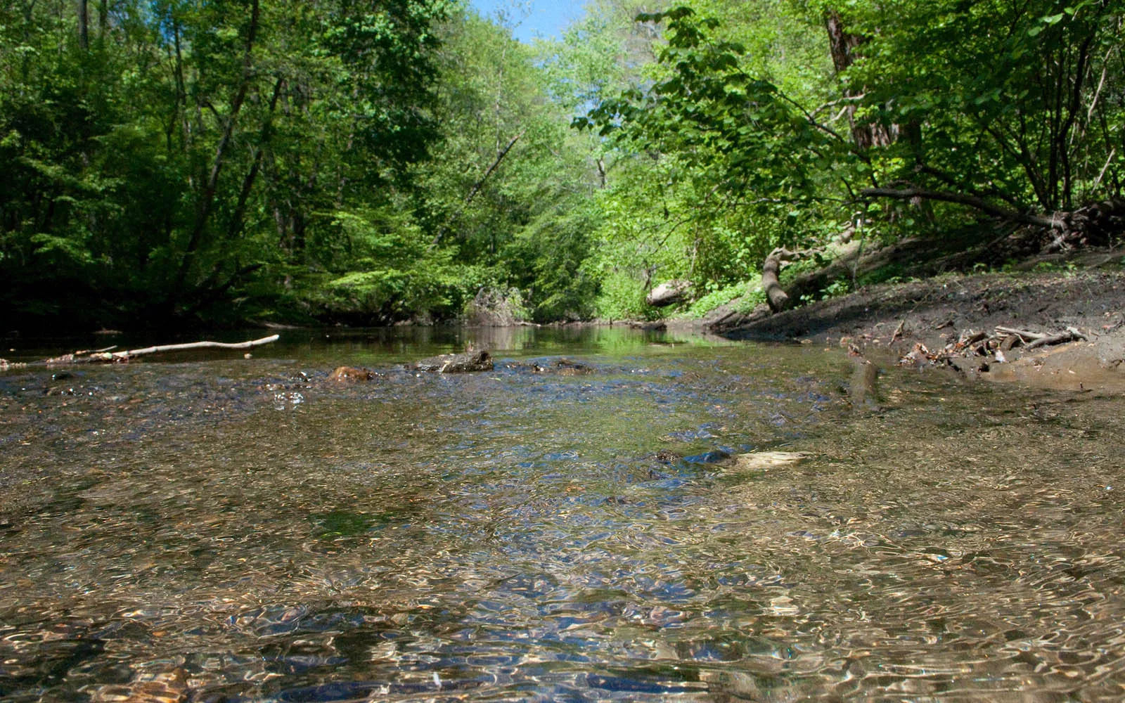 Summer shot of the Crum Creek