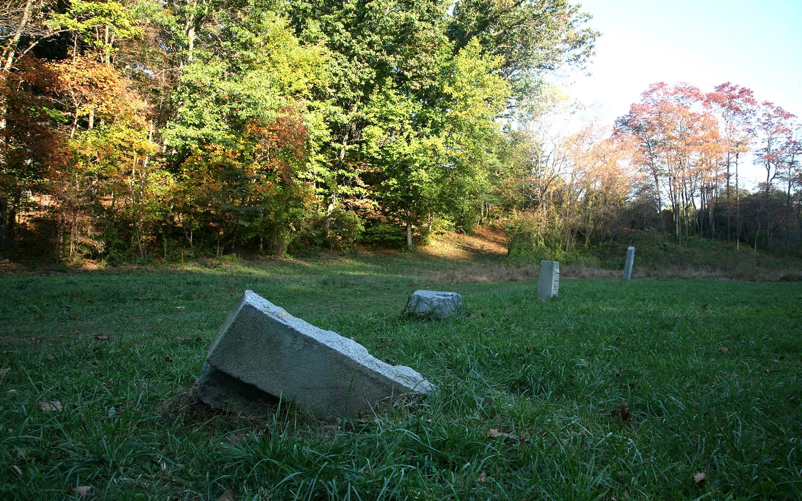 Crum Woods in Fall
