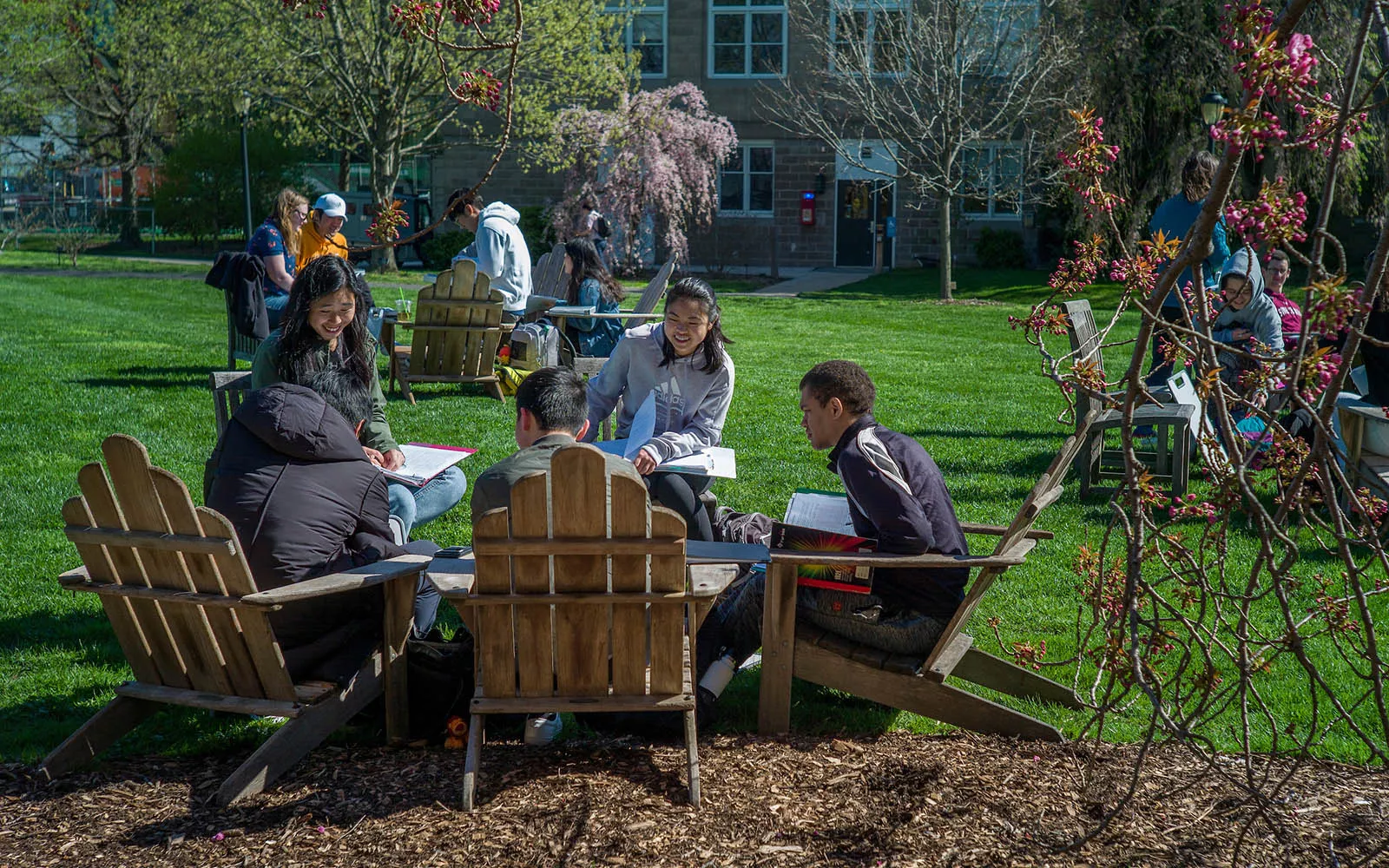 students sitting outside in chairs 