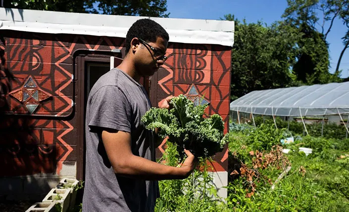 A student examines some vegetables