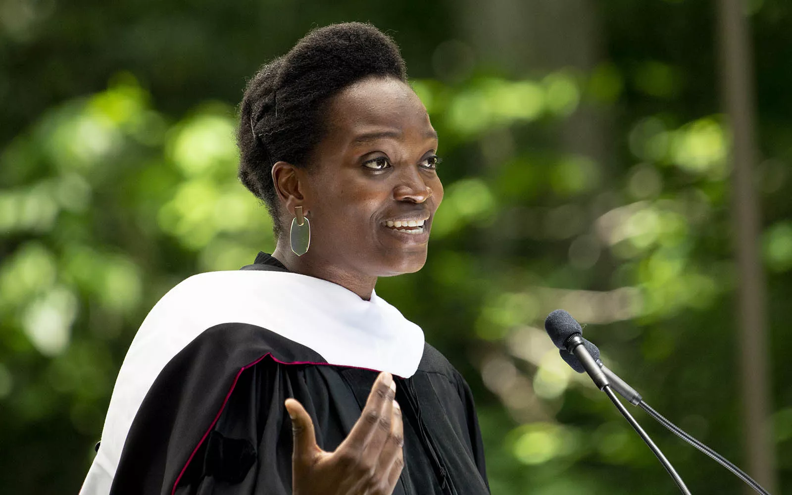 Njideka Akunyili Crosby ’04