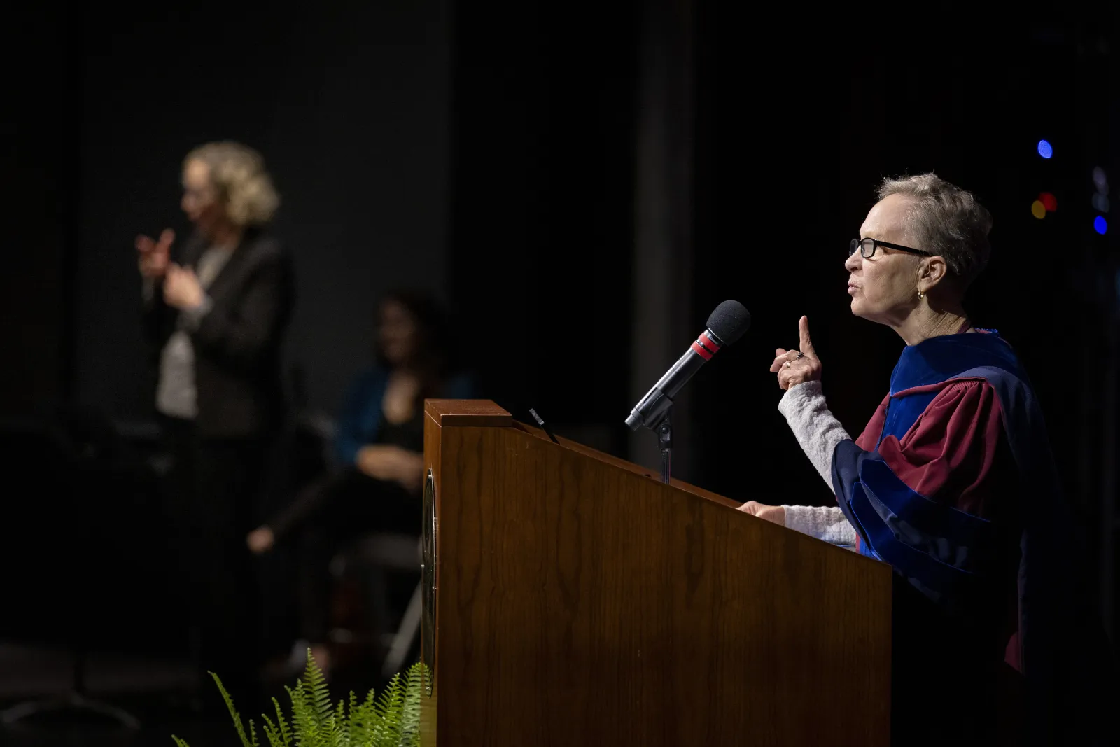 Diane Anderson speaks at podium