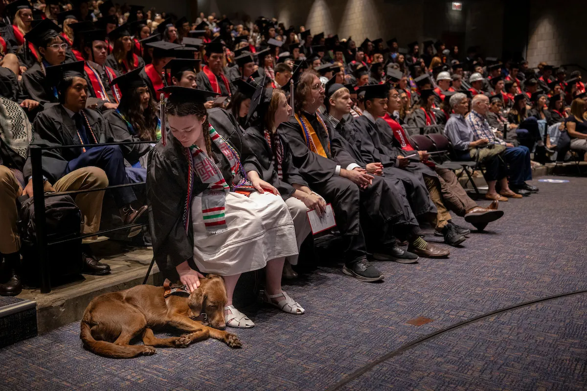 Student pets service dog at baccalaureate event in lpac