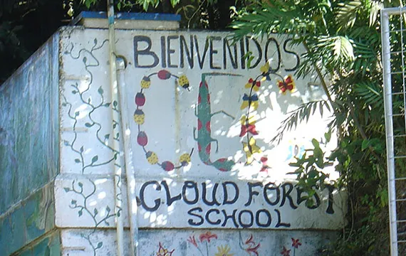 educational studies