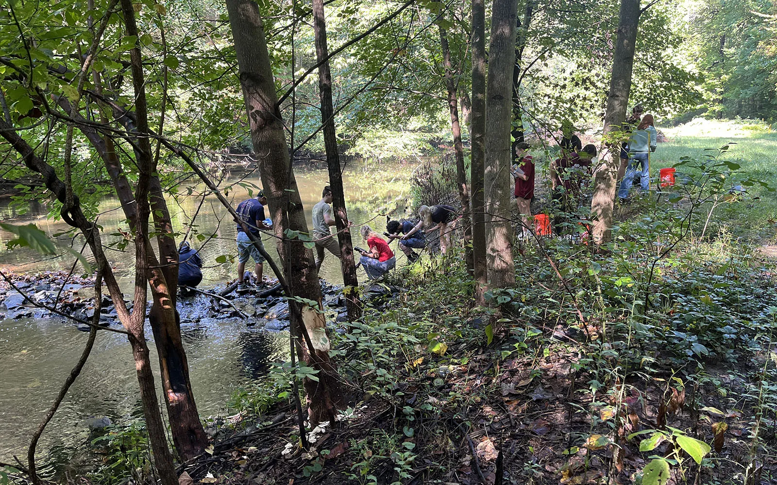 students doing research in crum creek