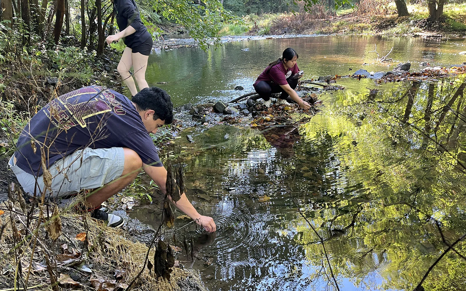 students doing research in crum creek