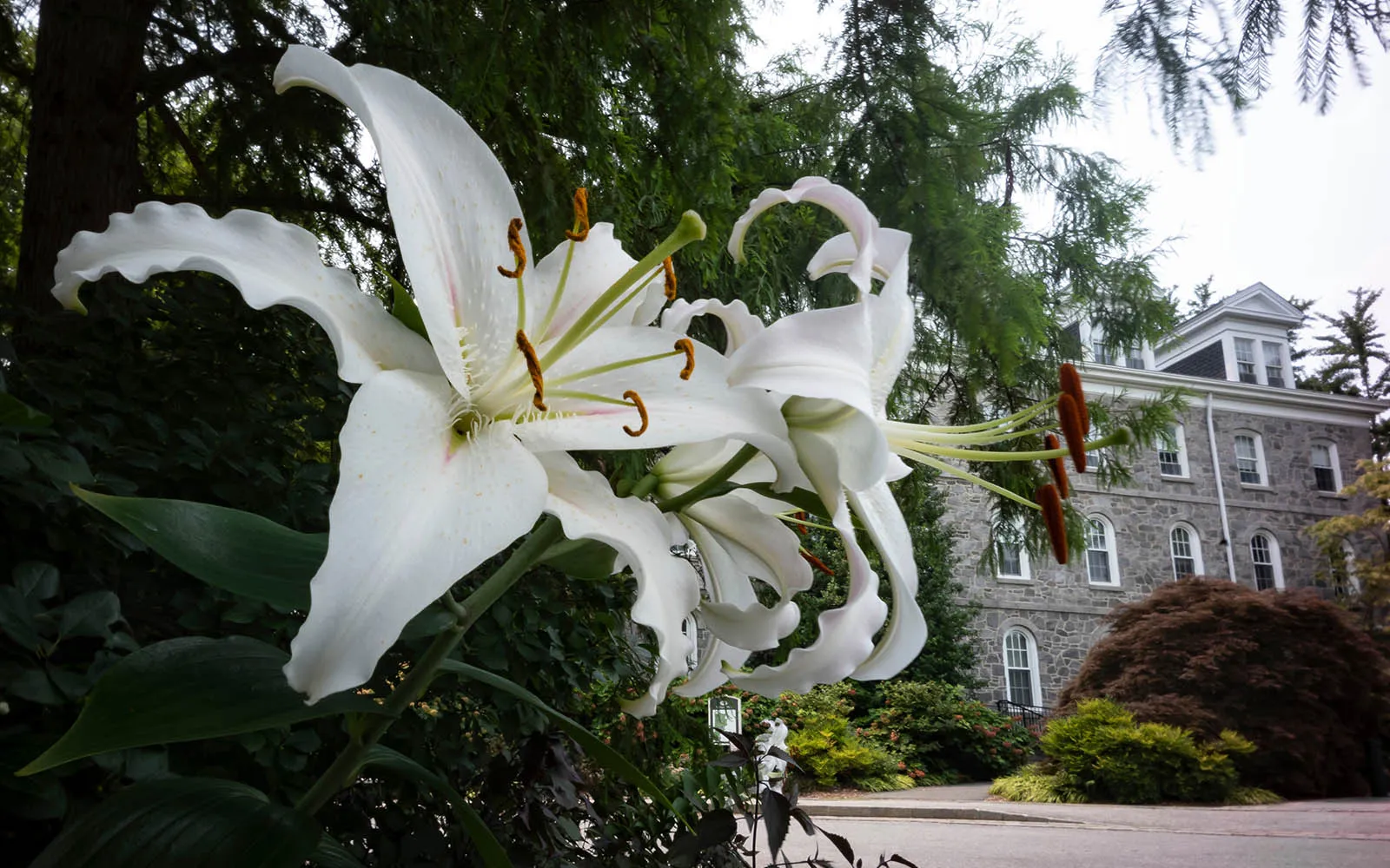parrish hall