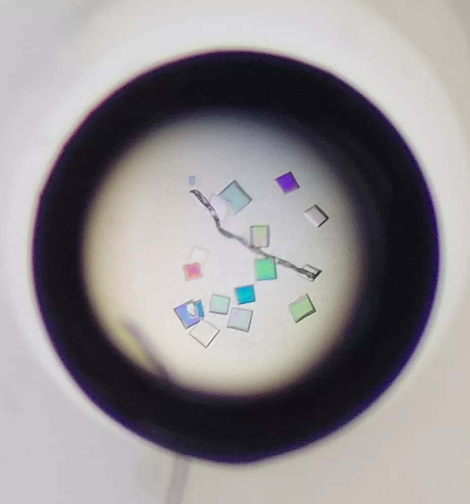 EK Brs crystals