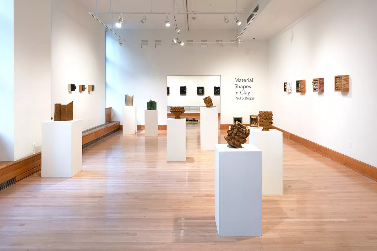 Installation of Paul Briggs works