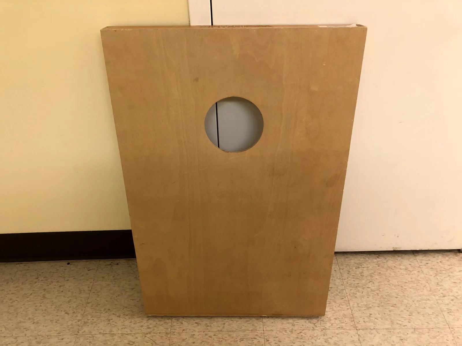 Cornhole Board