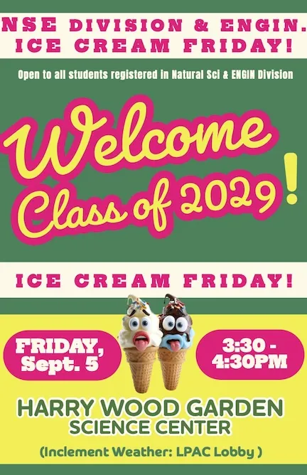 NSE IceCream