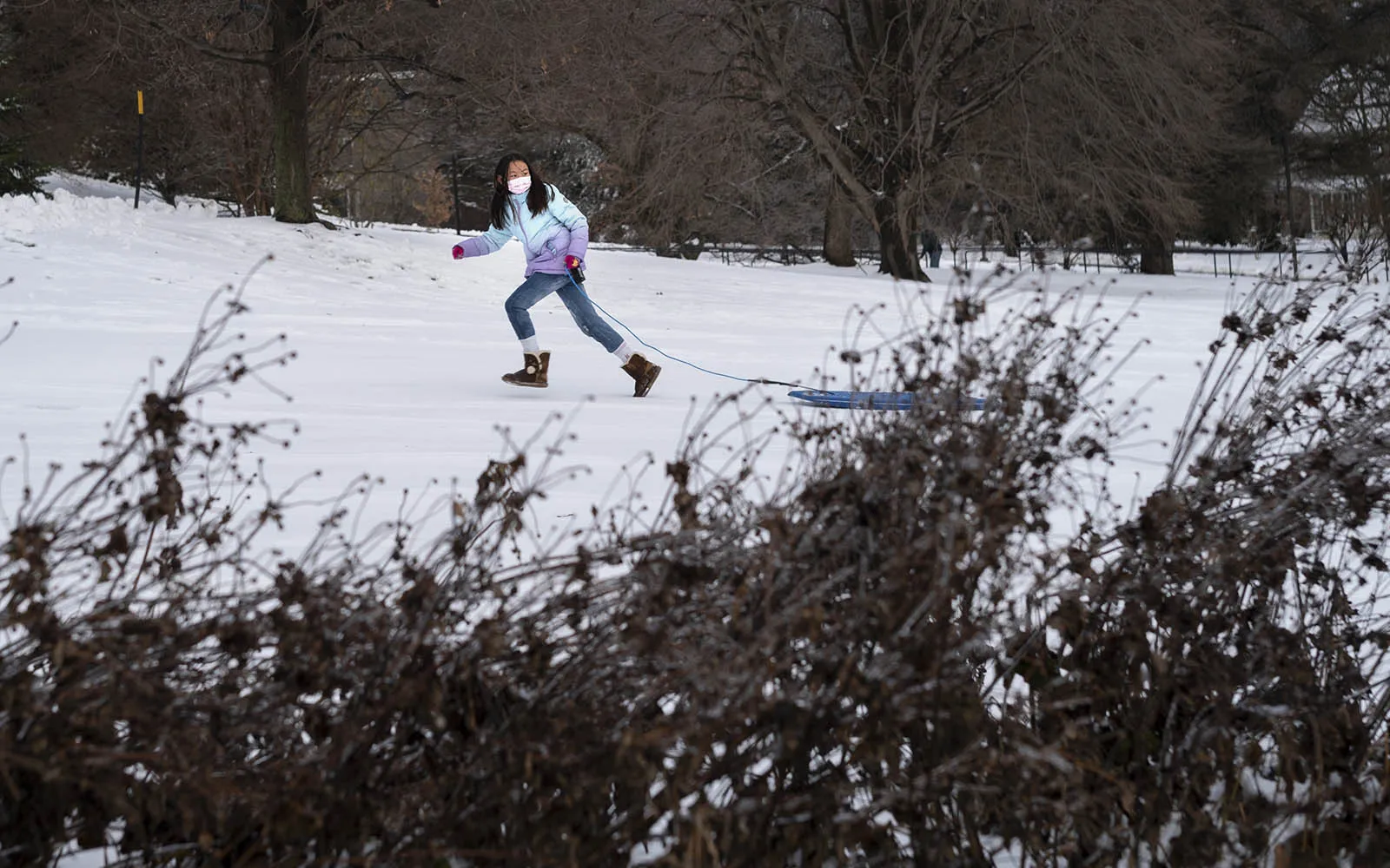 girl sledding