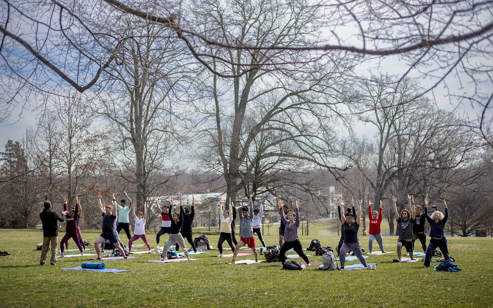 yoga on lawn