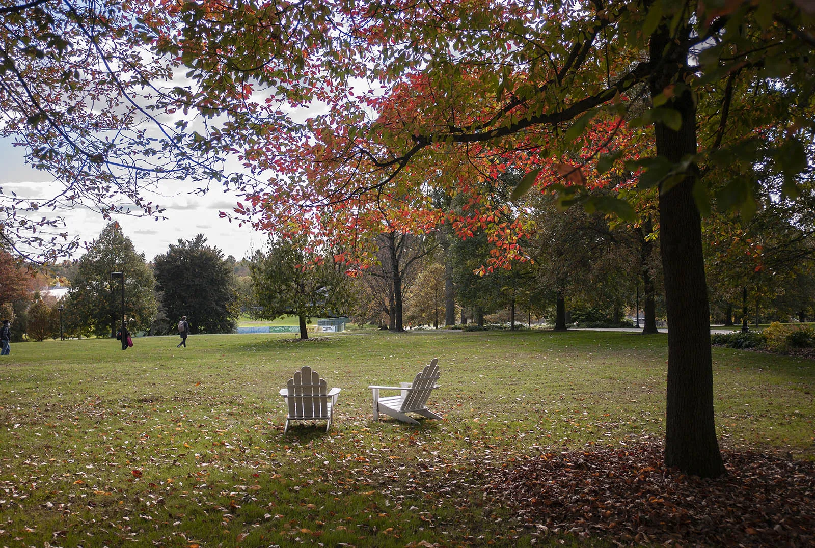 campus scene