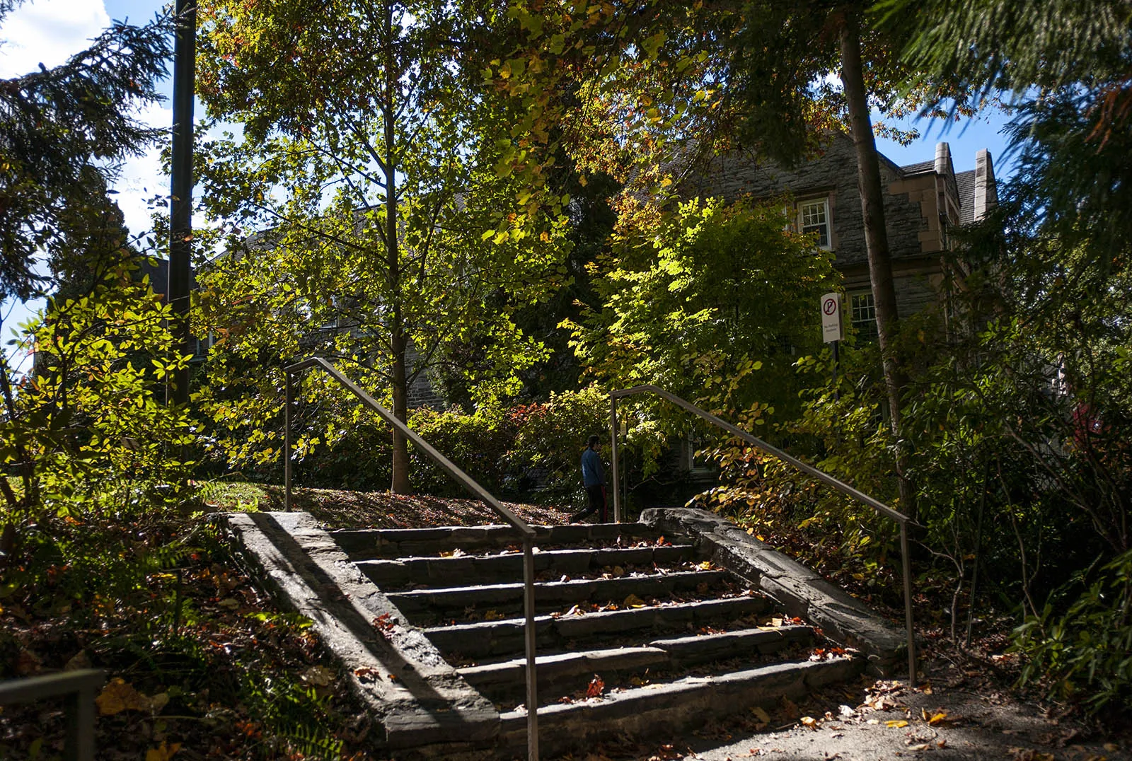 campus scene