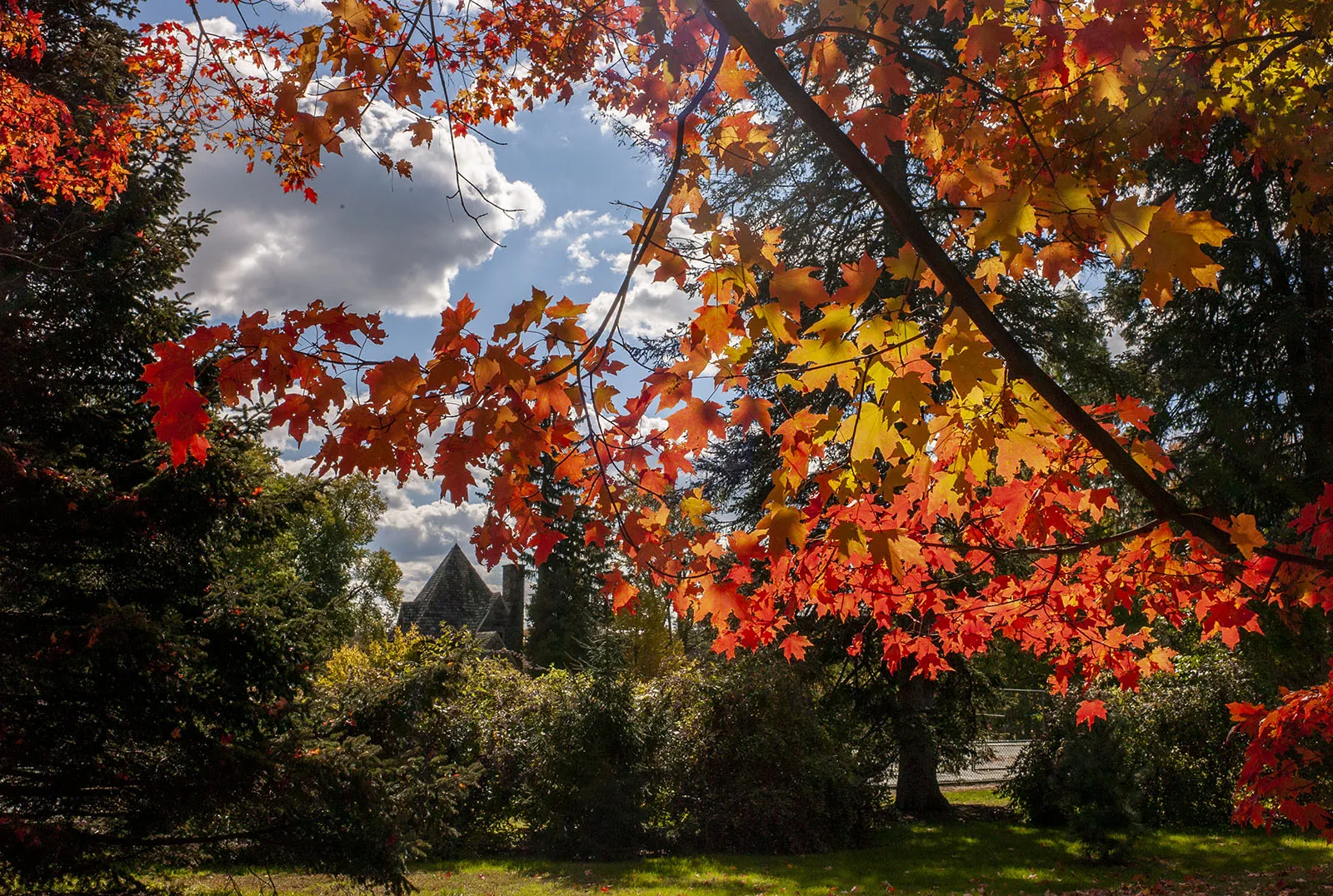 campus scene