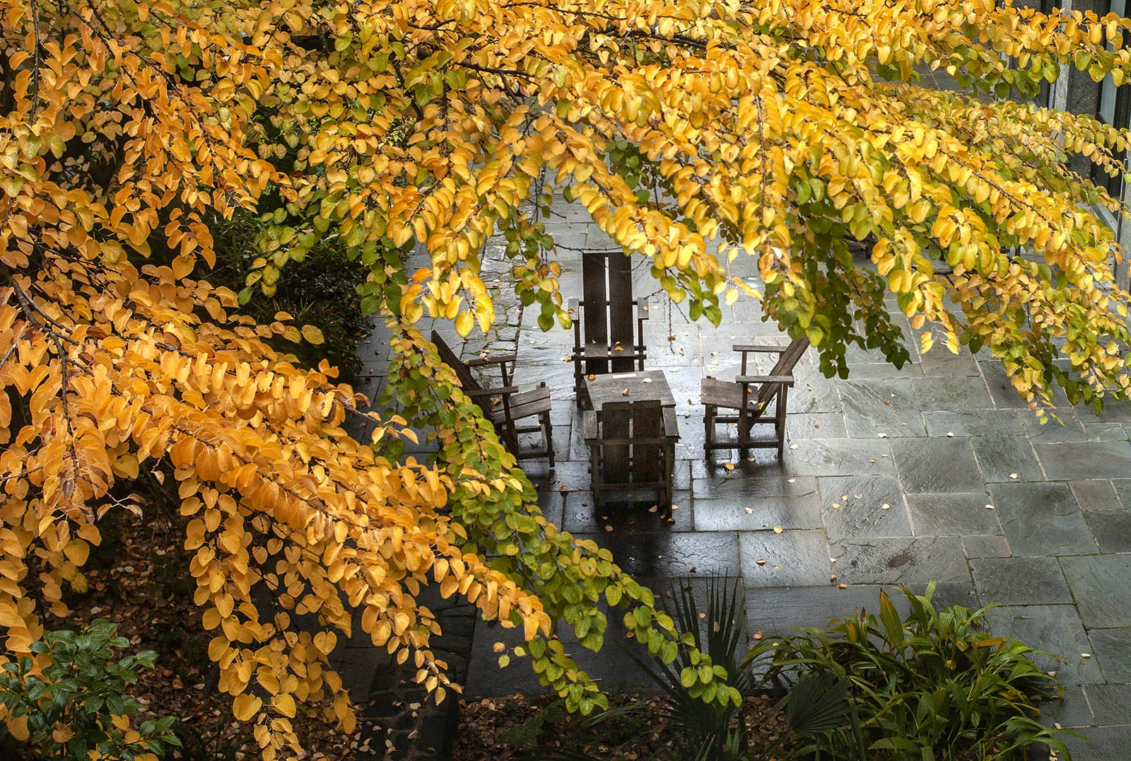 campus scene