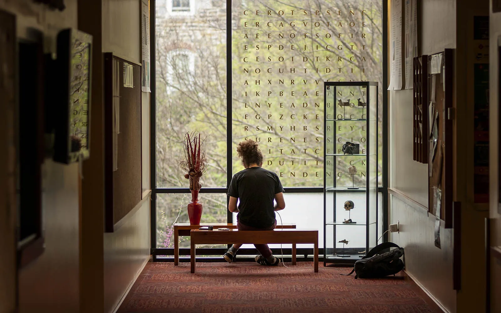 student studying in kohlberg hall