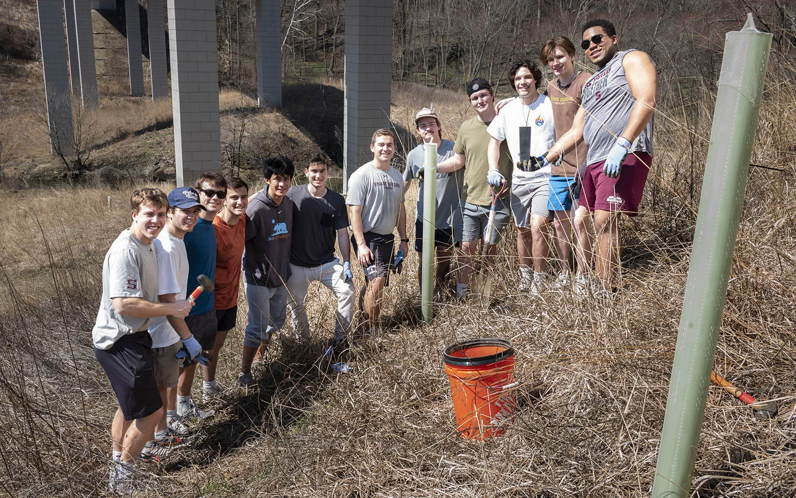 lacrosse team planting trees in crum woods