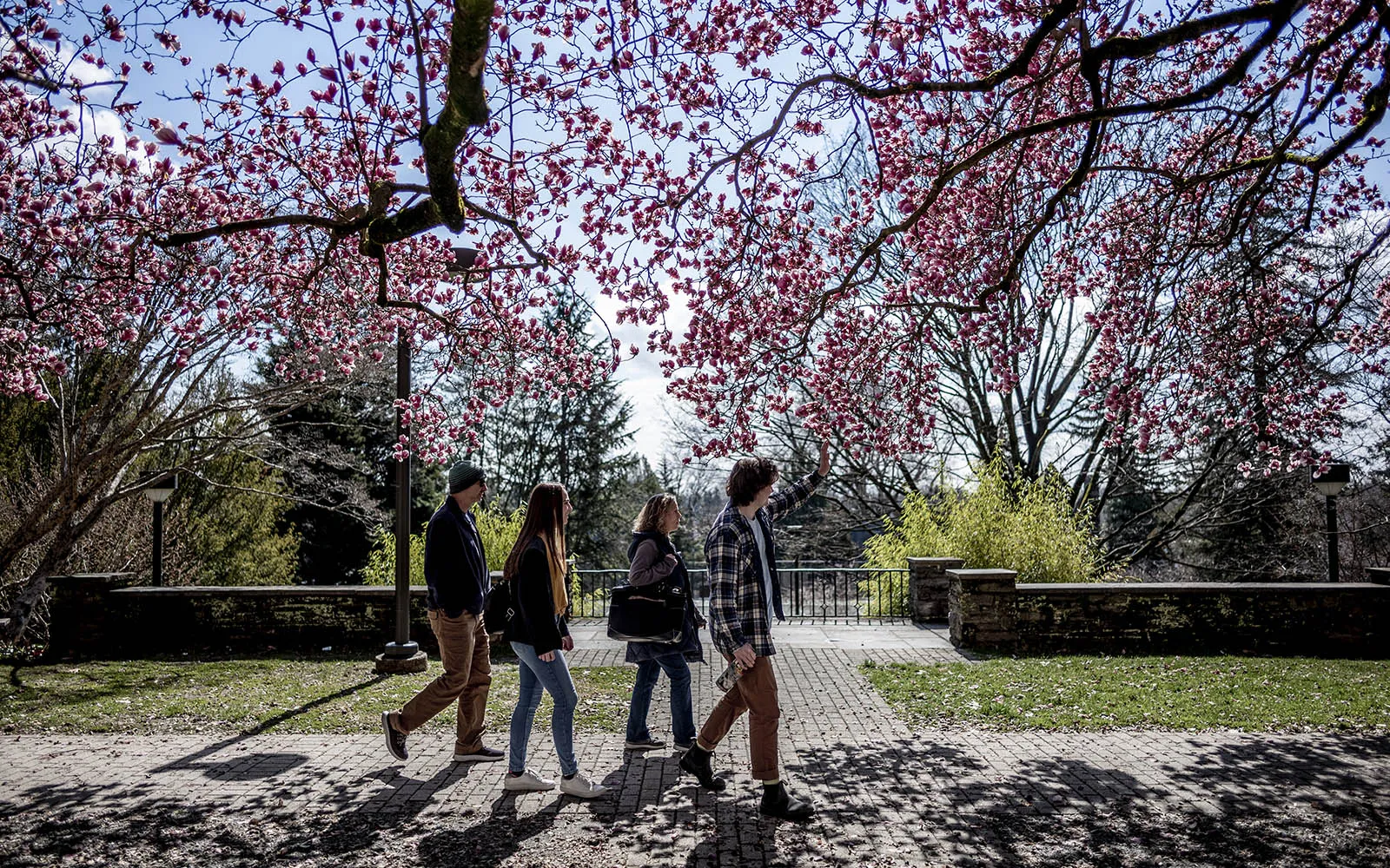 students walking on campus