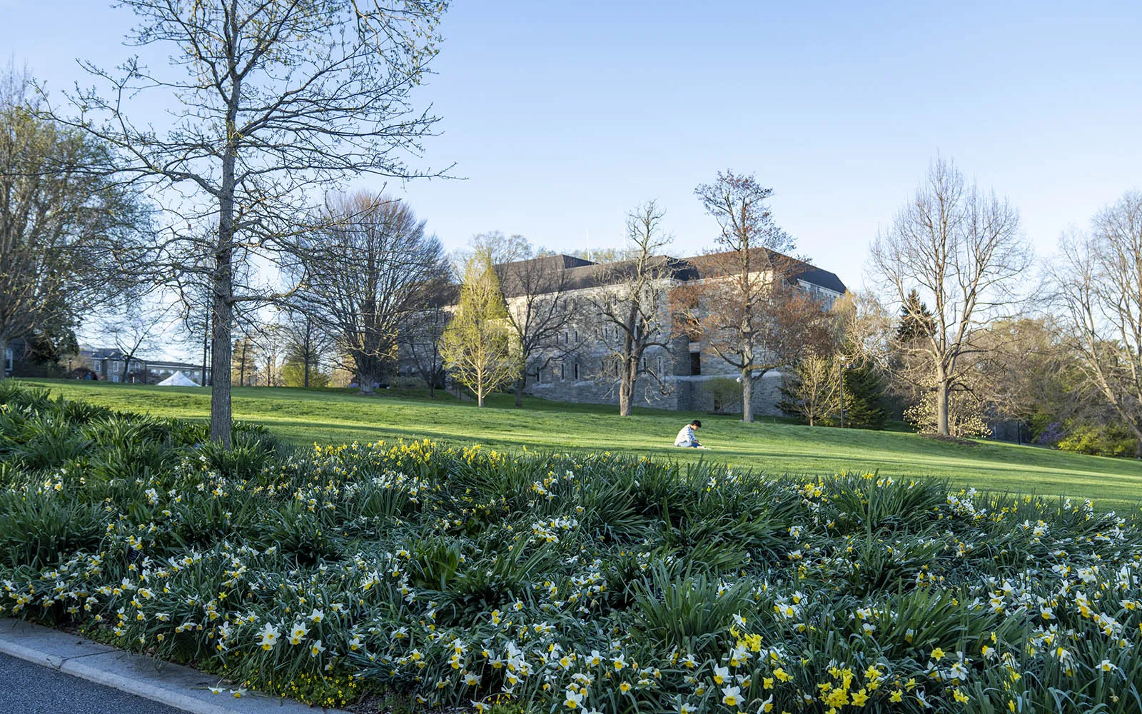 student studying in front of mccabe