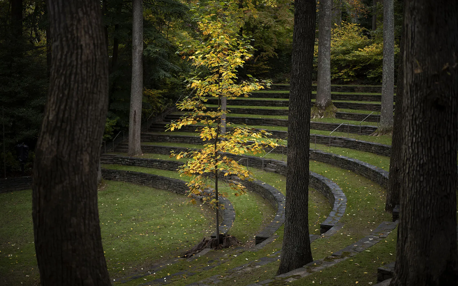 fall scene on campus