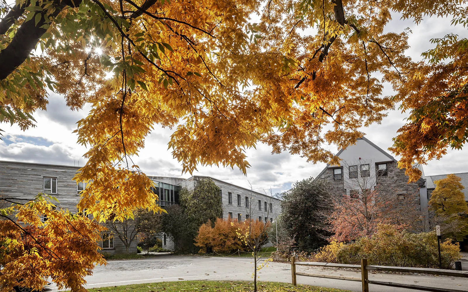 fall scene on campus