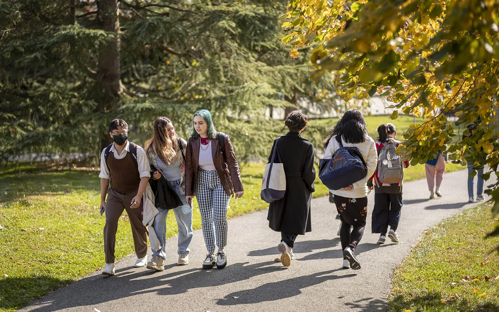 fall scene on campus