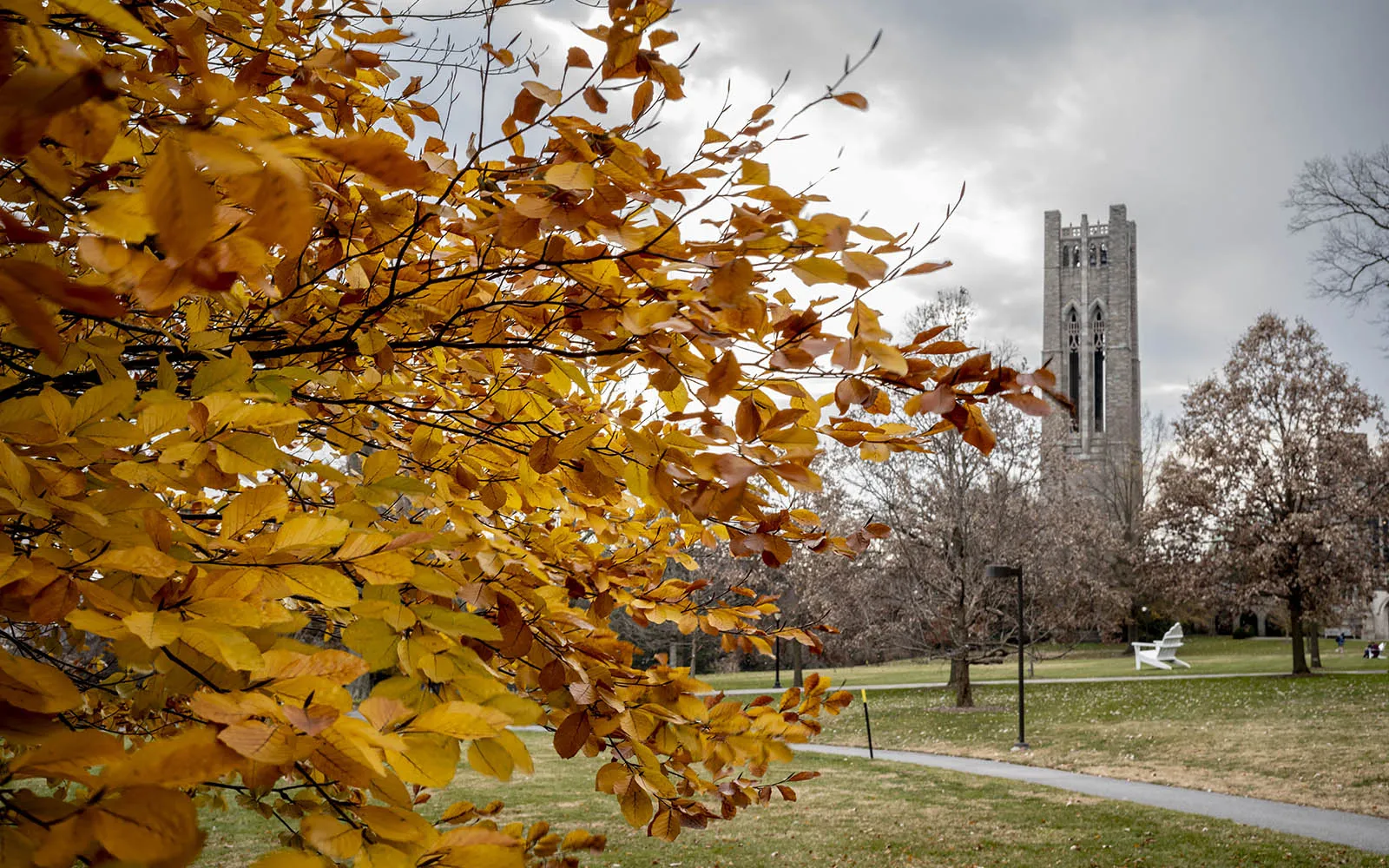 fall scene on campus