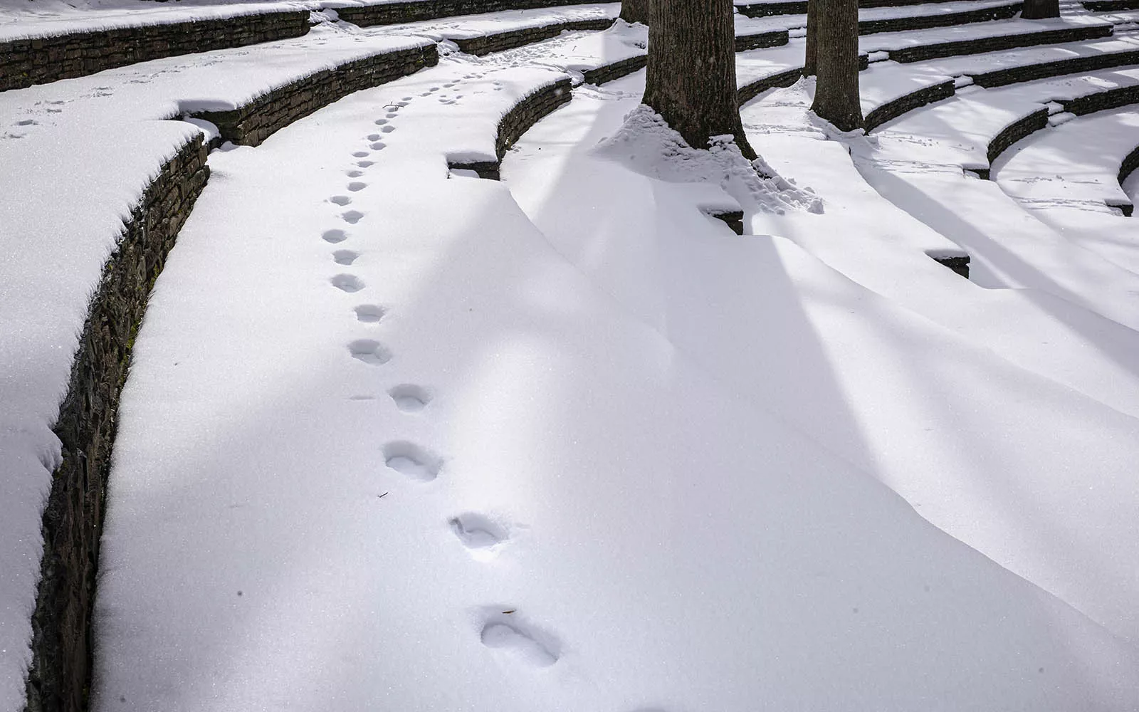 footprints in the snow