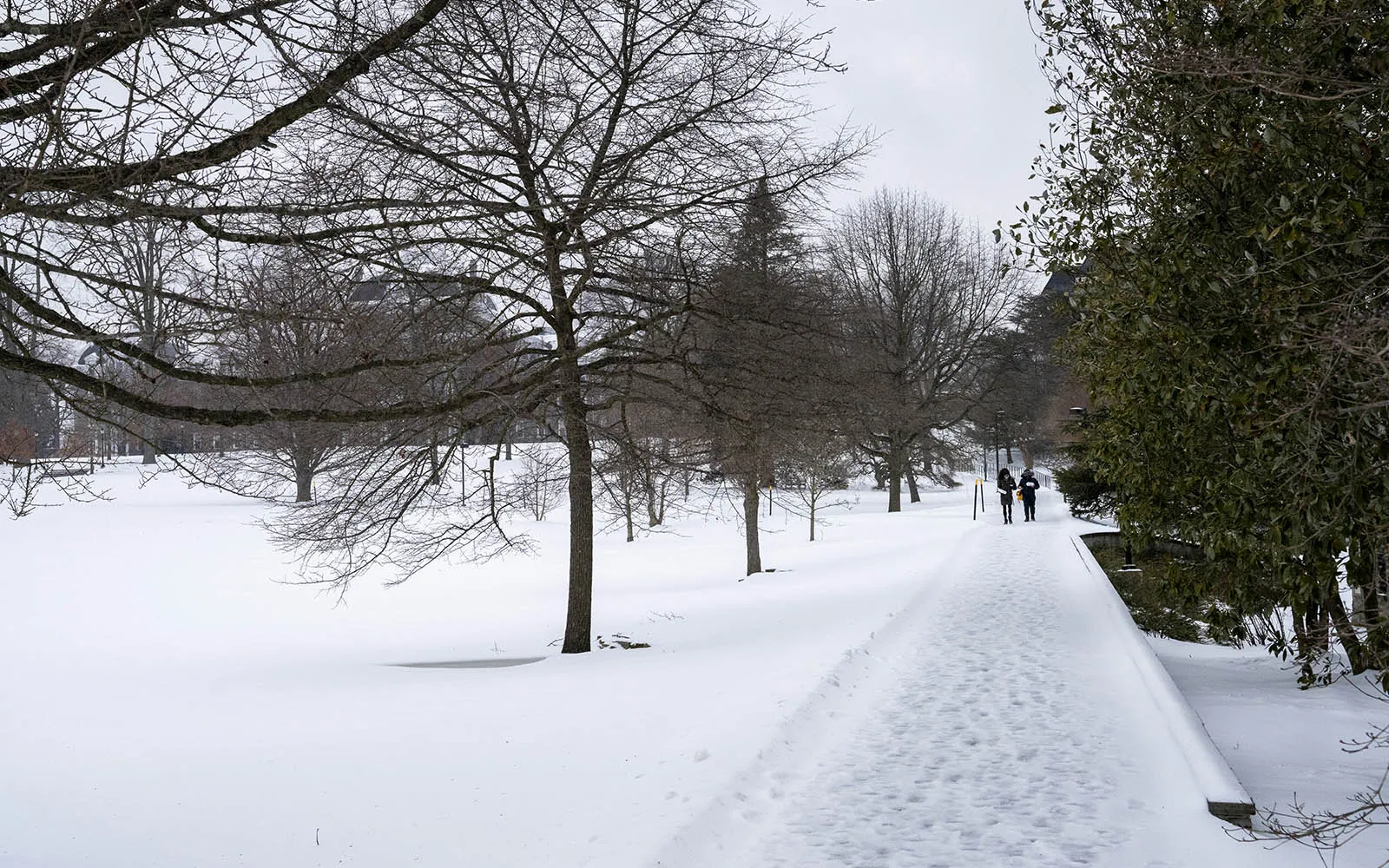 students walking in snow