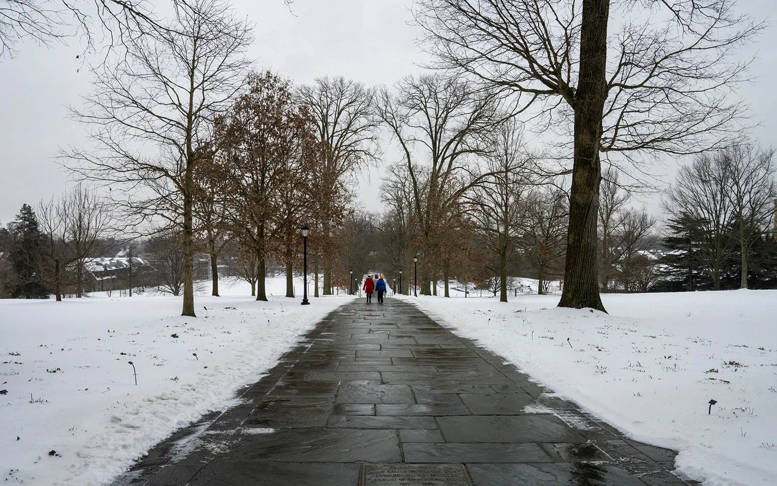 students walking on magill walk