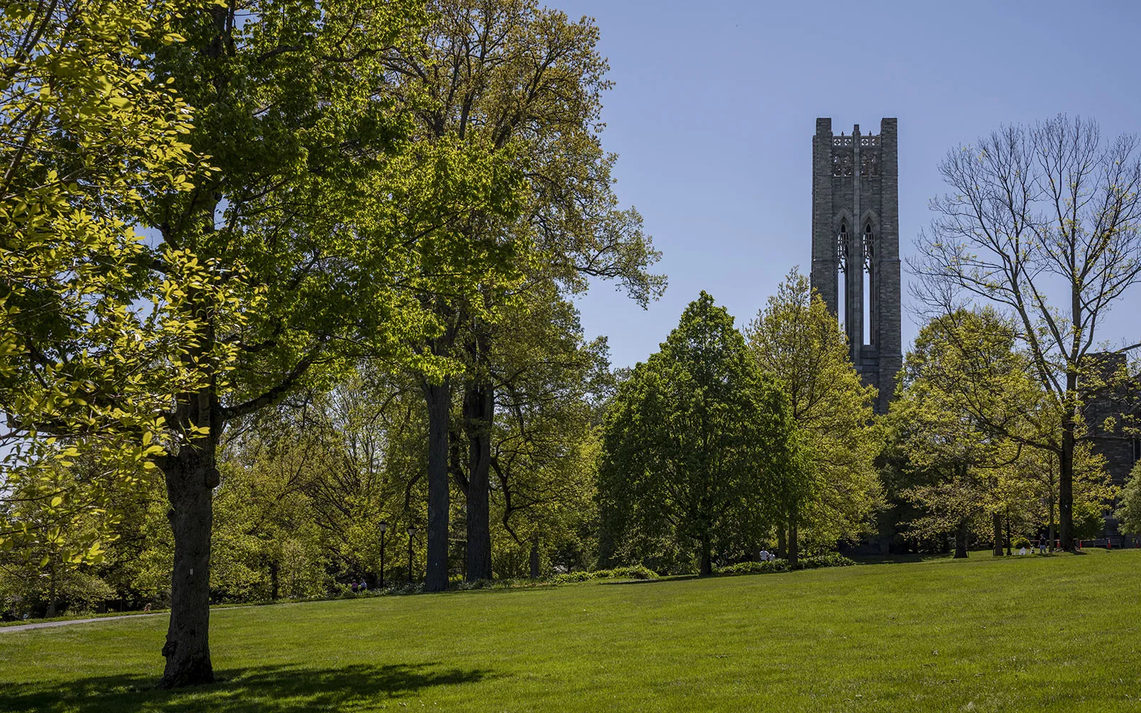campus beauty