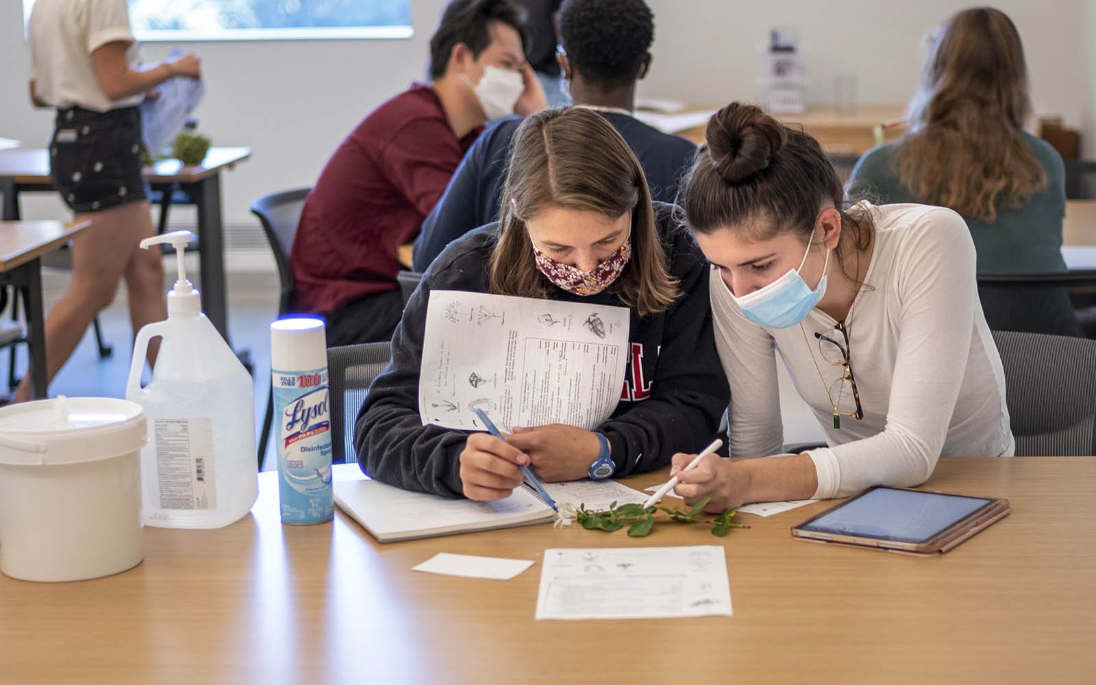 students studying