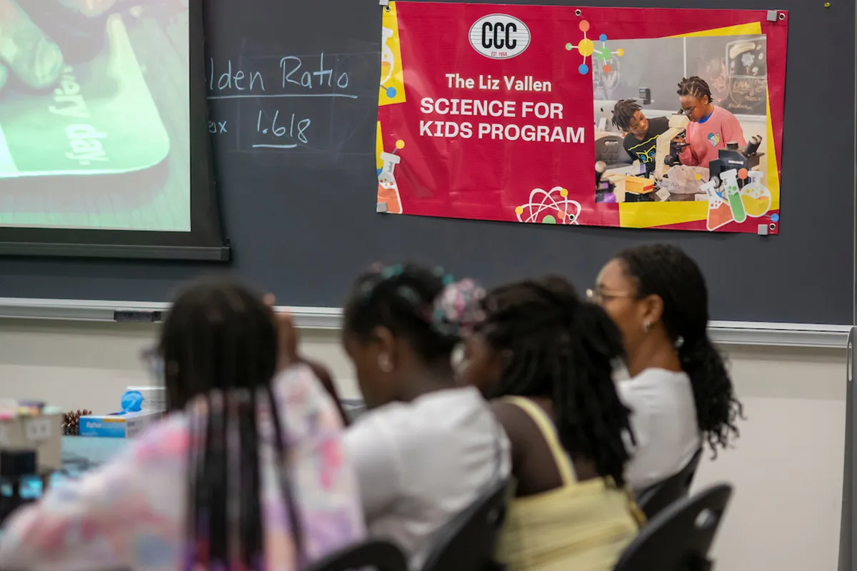 Liz Vallen science program banner