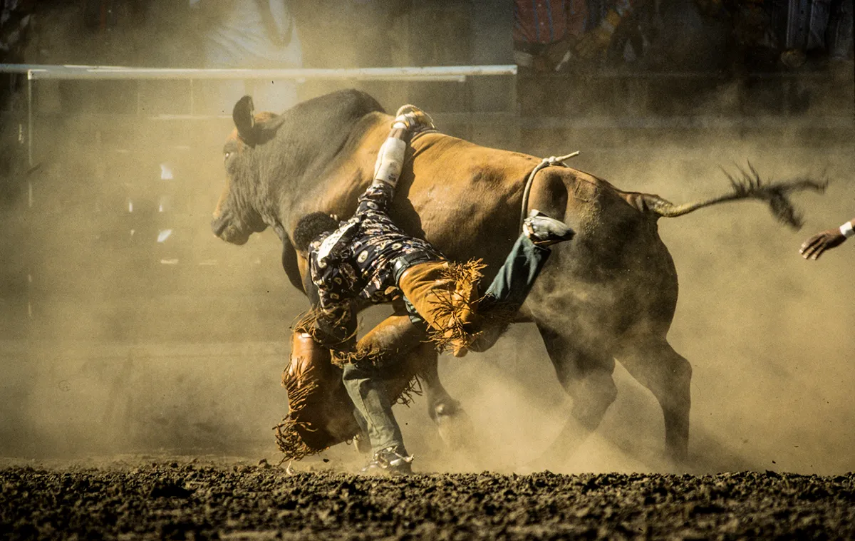 Photographer, Art Professor Ron Tarver Brings Black Cowboys into