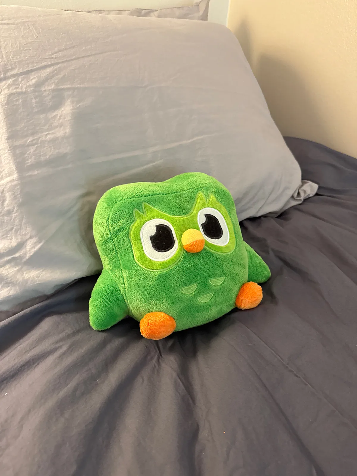 Green duolinguo owl plushie on bed