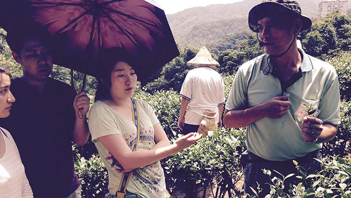 students in tea course in the field