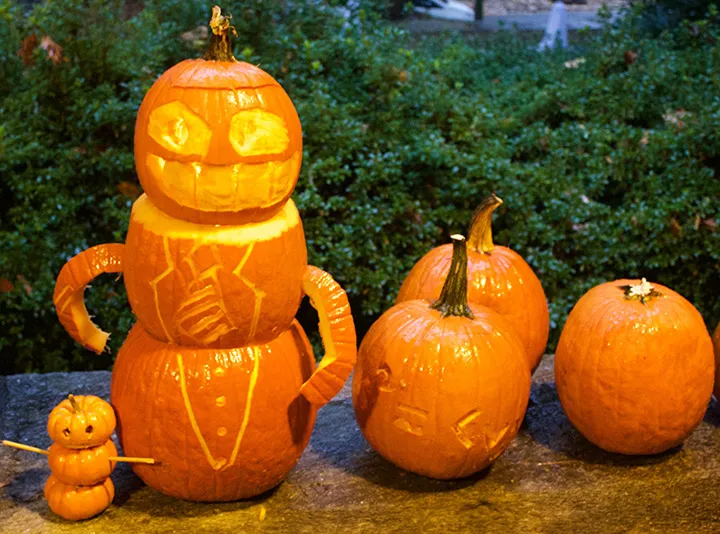 Carved pumpkins