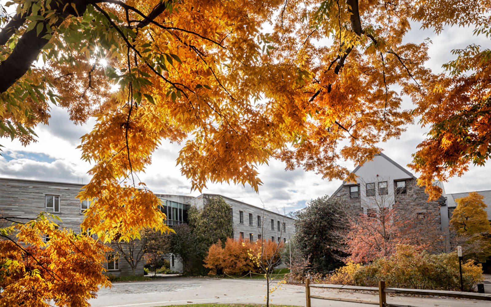 fall photo of campus