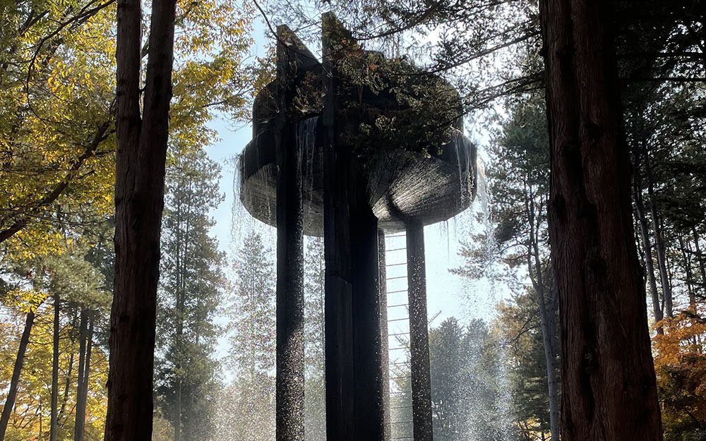 trees and constructed water fountain