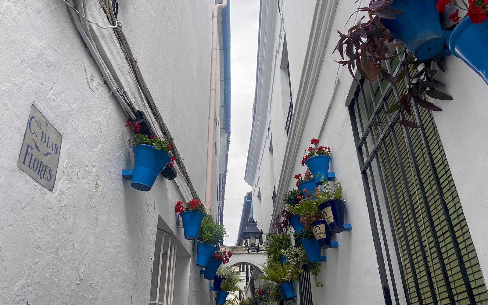 alley with flowers