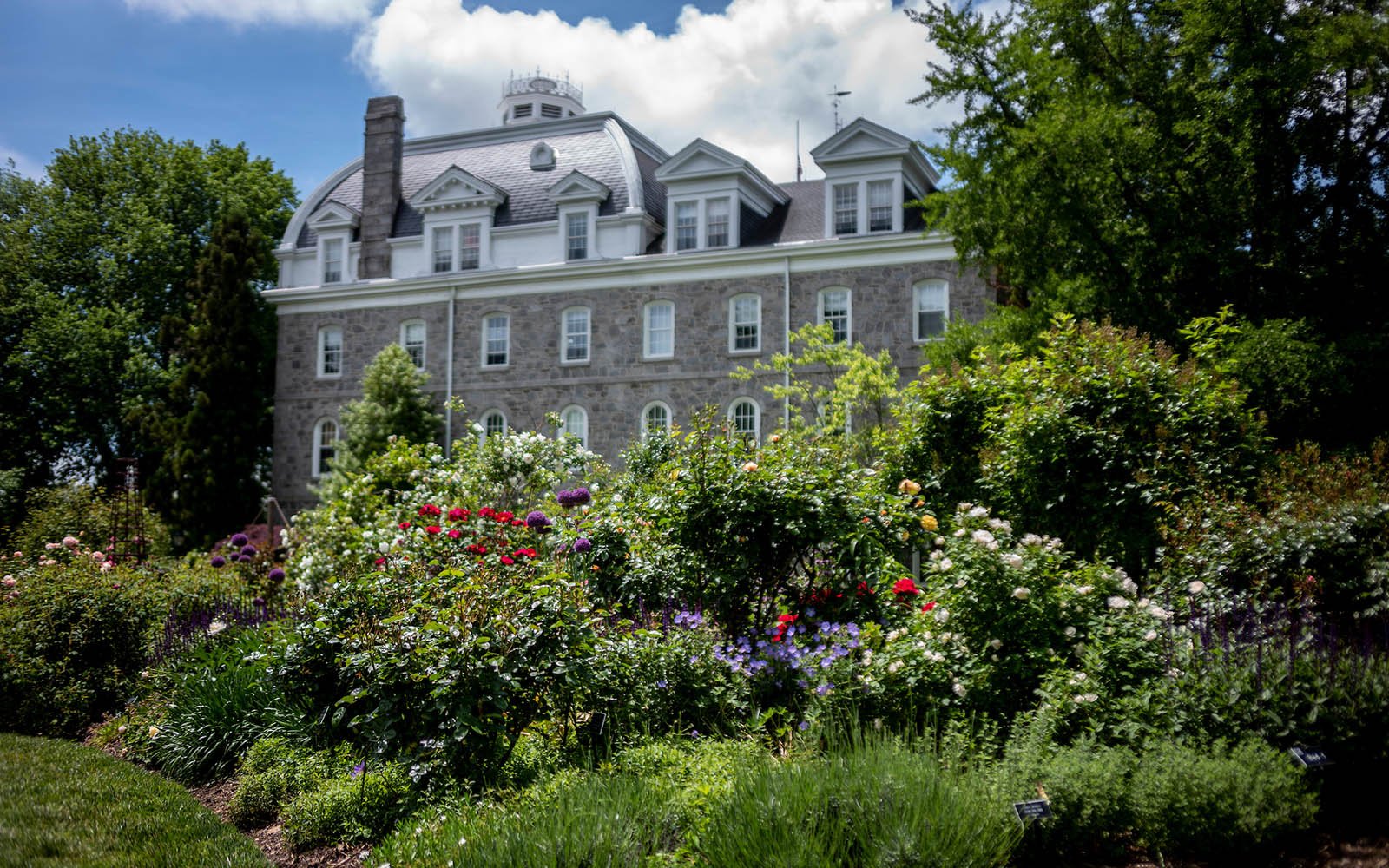 Rose garden next to Parrish Hall